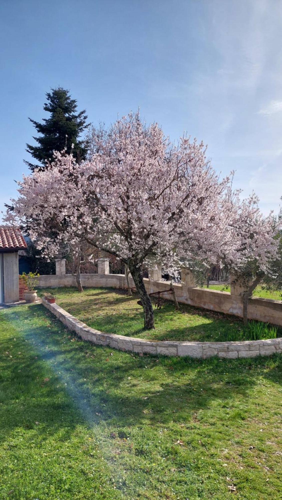 Holiday home Casa Mandula Rakotule